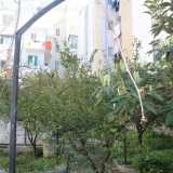 Ci ritroviamo cos� in un sorprendente giardino ampio circa 450 metri quadri dove trovano posto alberi di nespole, di limoni...